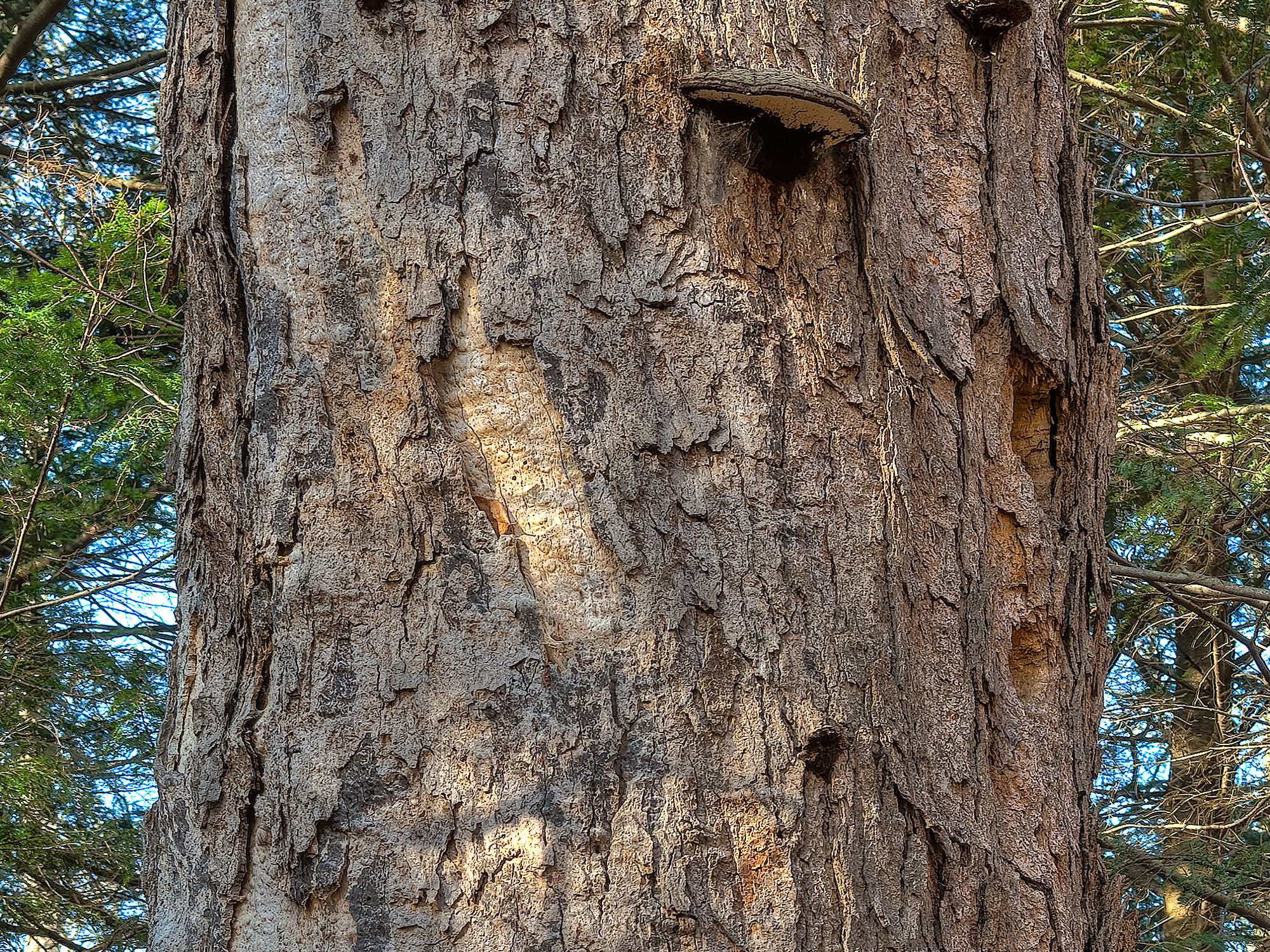 _BWA3184-P_85-P_87-P_90-P_92-P-P_1.jpg