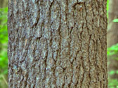 _BWA1914-P_15-P_17-P_20-P_22-P-P_1.jpg