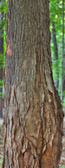 _BWA1932-P_33-P_35-P_38-P_40-P-P-P-P.jpg