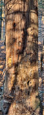 _BWA3126-P_27-P_29-P_32-P_34-P-P.jpg